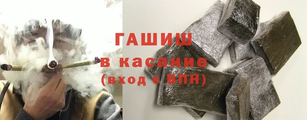 шишки Гусев