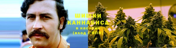 тгк Дмитров