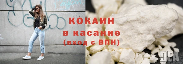 стаф Дмитровск