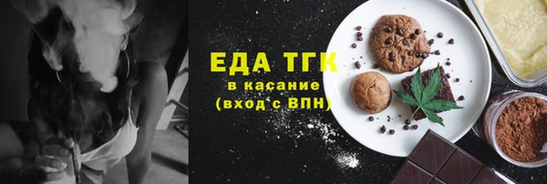 тгк Дмитров