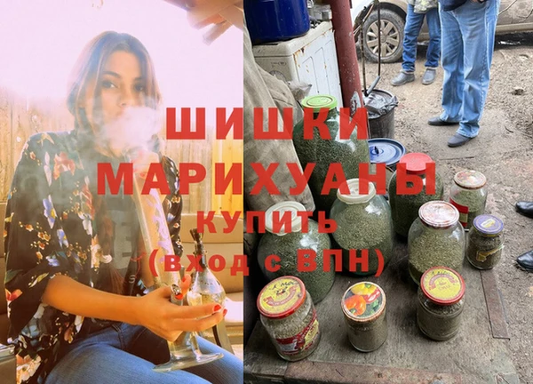 тгк Дмитров