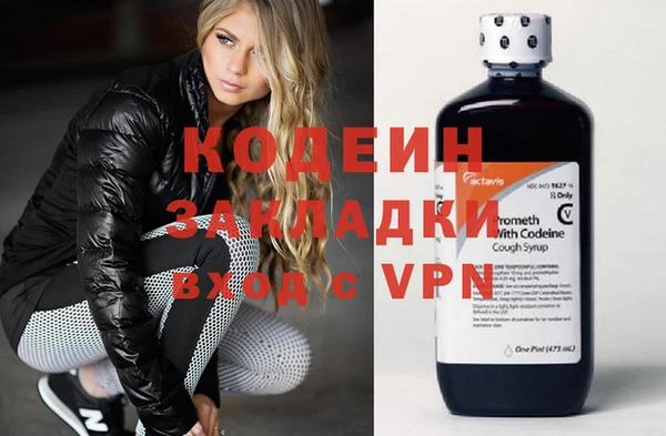 стаф Дмитровск