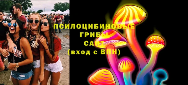тгк Дмитров