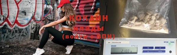 тгк Дмитров