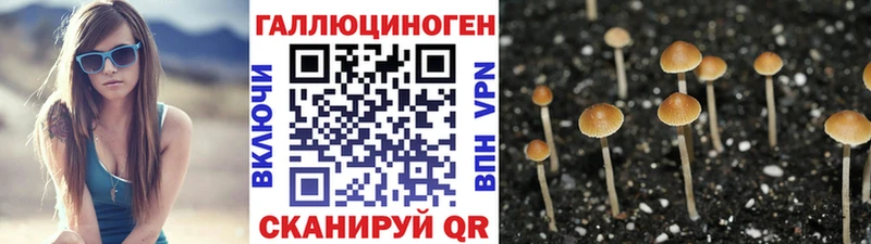 Купить  Полевской  Галлюциногенные грибы прущие грибы 